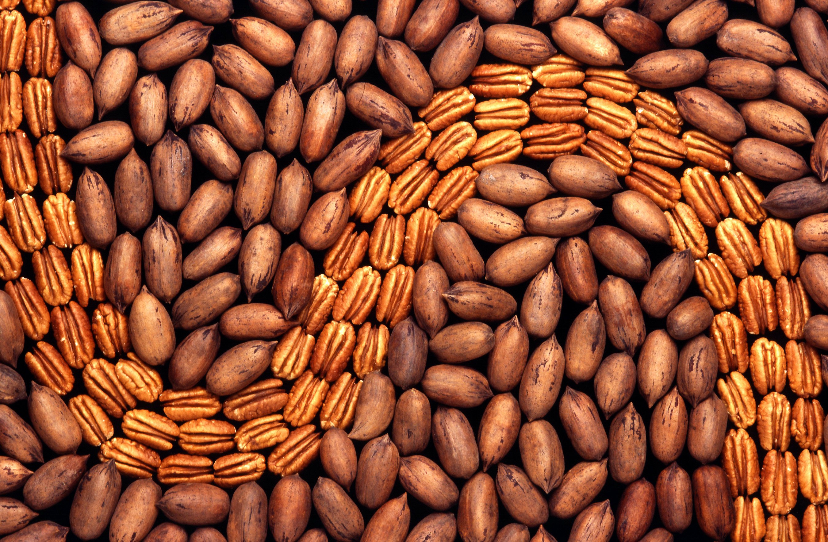 Pecans Take Center Stage Amidst Global Trade Wars (image credits: wikimedia)