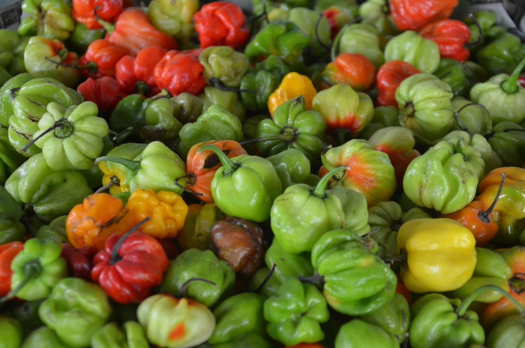 The Economics of Pepper: Currency, Taxes, and Fortunes (image credits: unsplash)