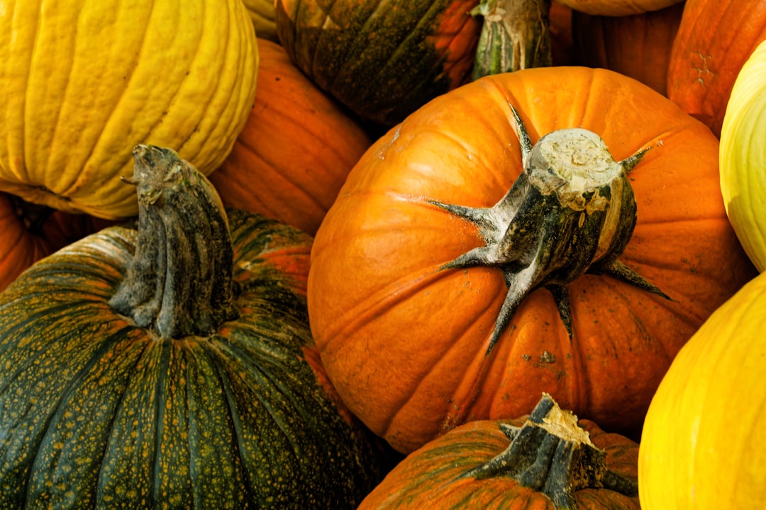 Opt for Seasonal Produce (image credits: unsplash)