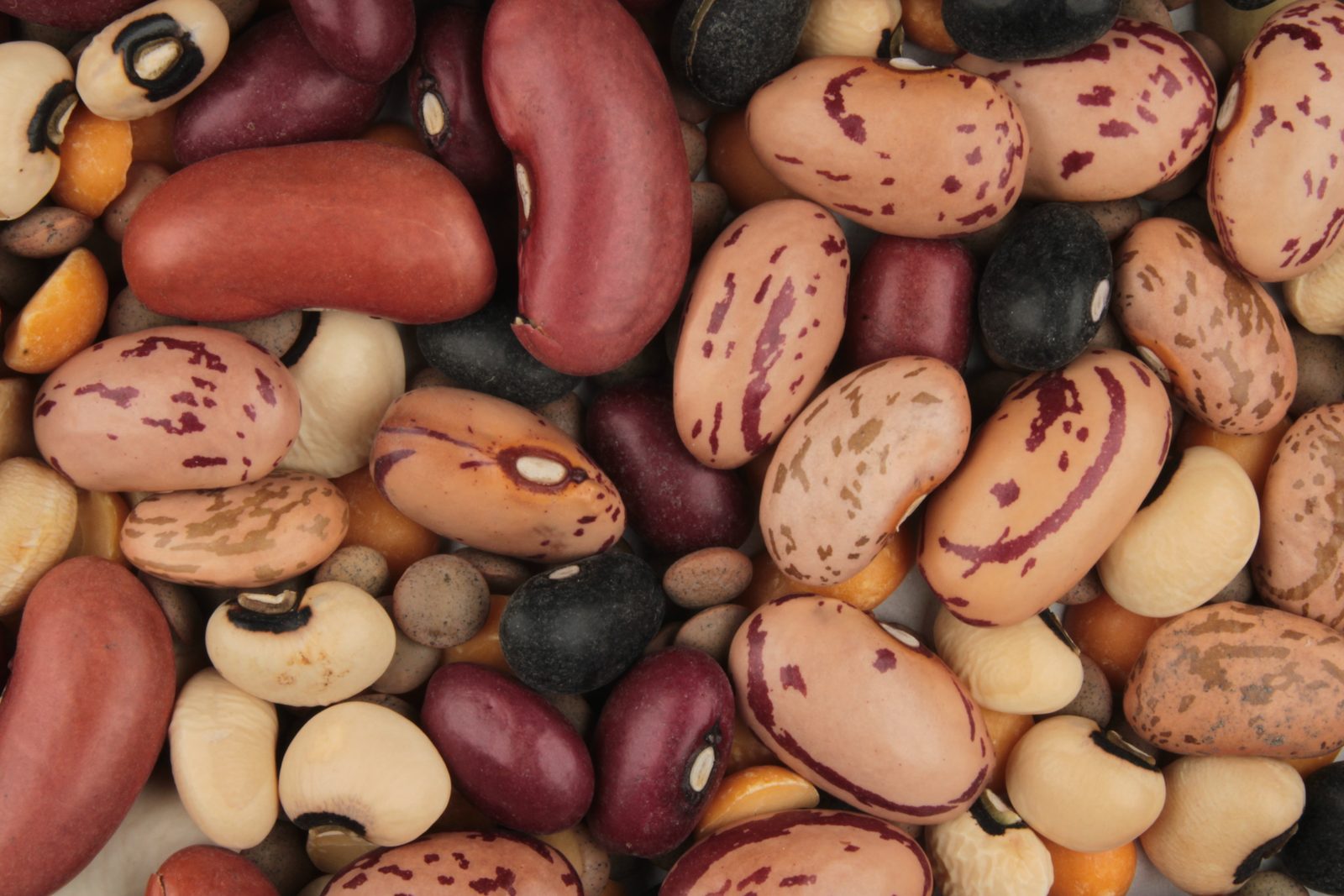 Legumes Including Beans and Lentils (Image Credits: Wikimedia)