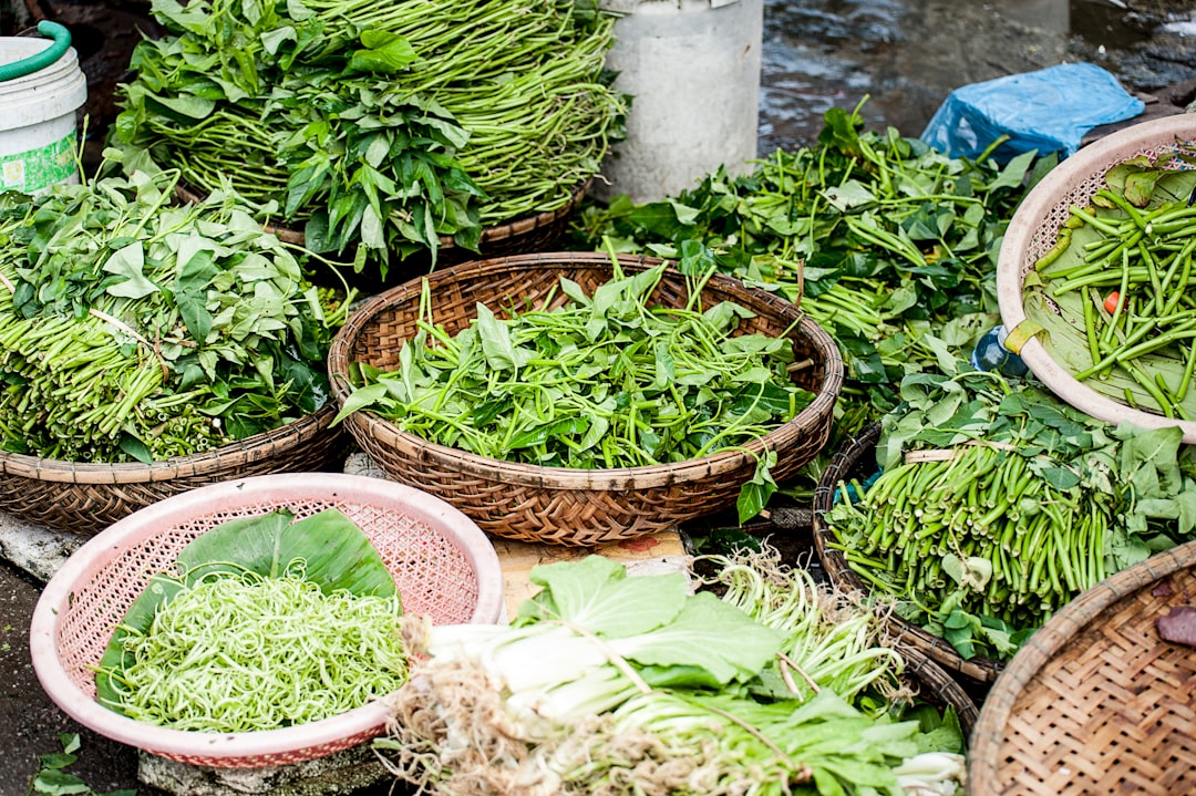 Vietnam: Light, Fresh, and Herb-Heavy (image credits: unsplash)