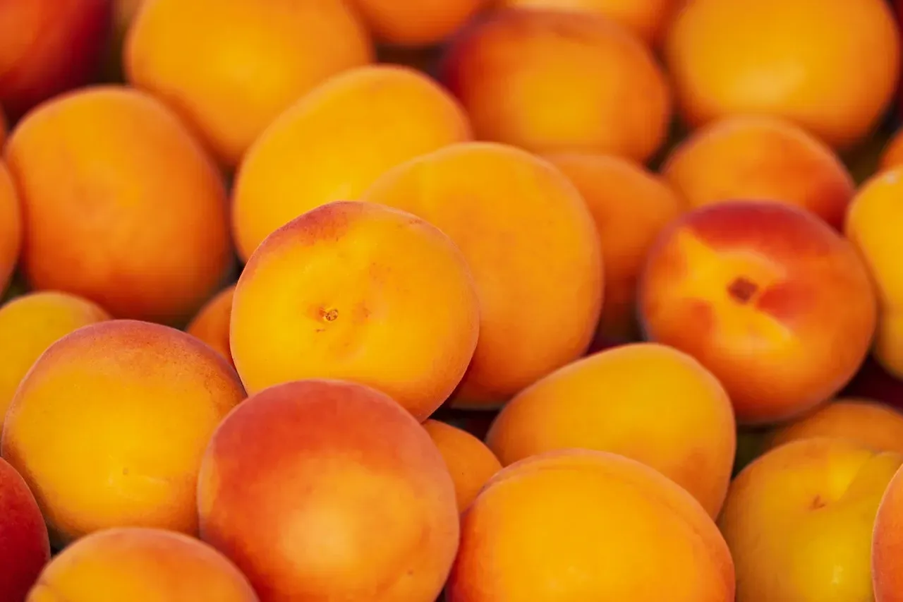 Apricots: Small But Mighty for Eye Health (Image Credits: Pixabay)