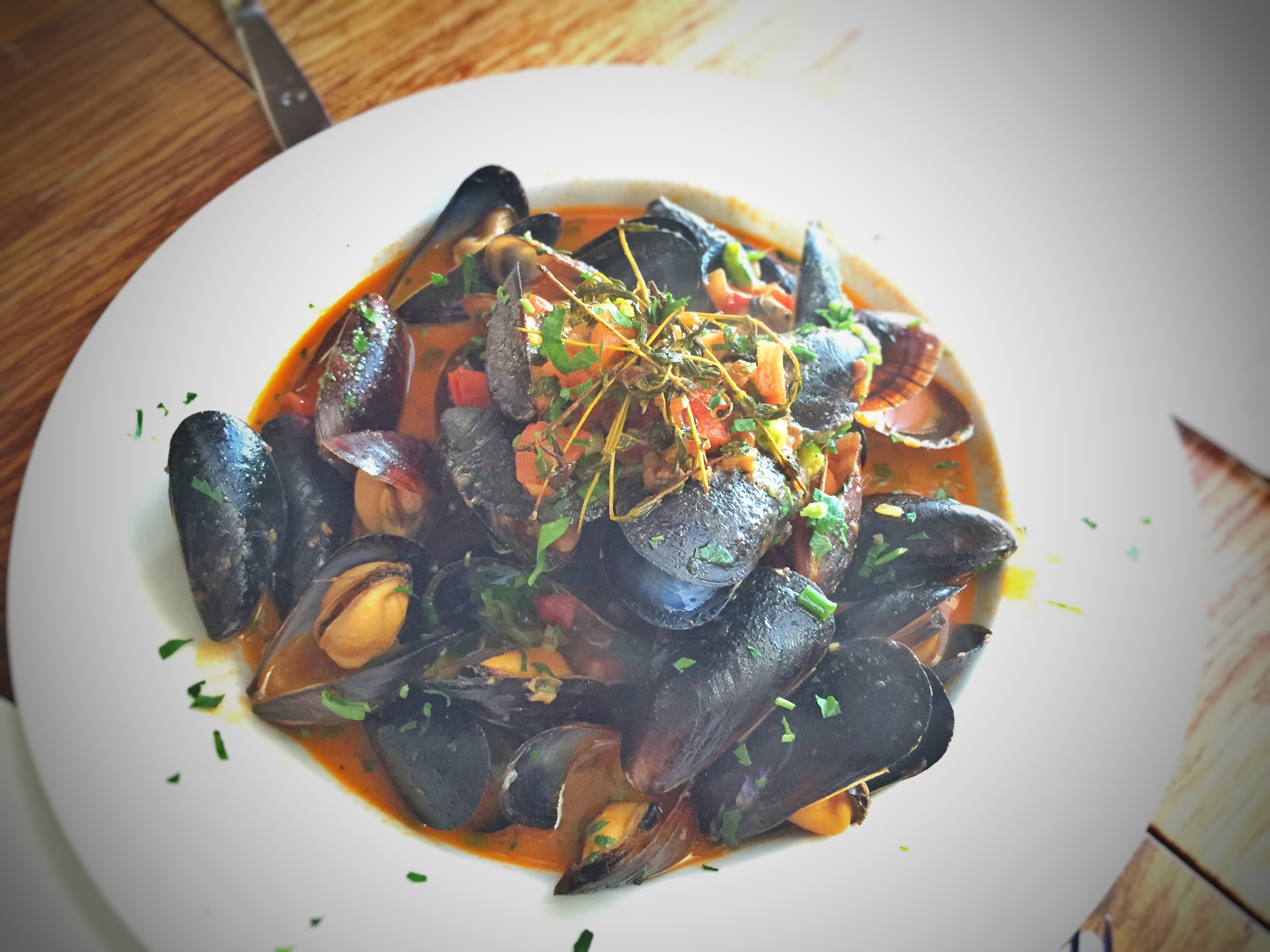 Mussels: The Unsung Hero (image credits: wikimedia)