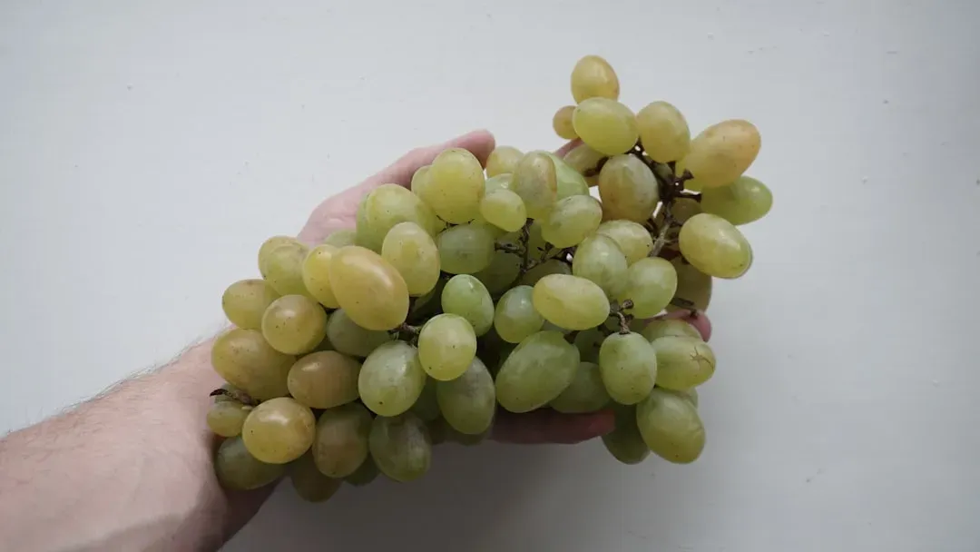 7. Grapes (GI: ~54–59) (Image Credits: Unsplash)