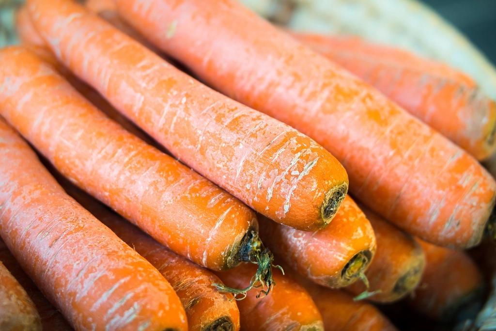 Carrots (image credits: rawpixel)