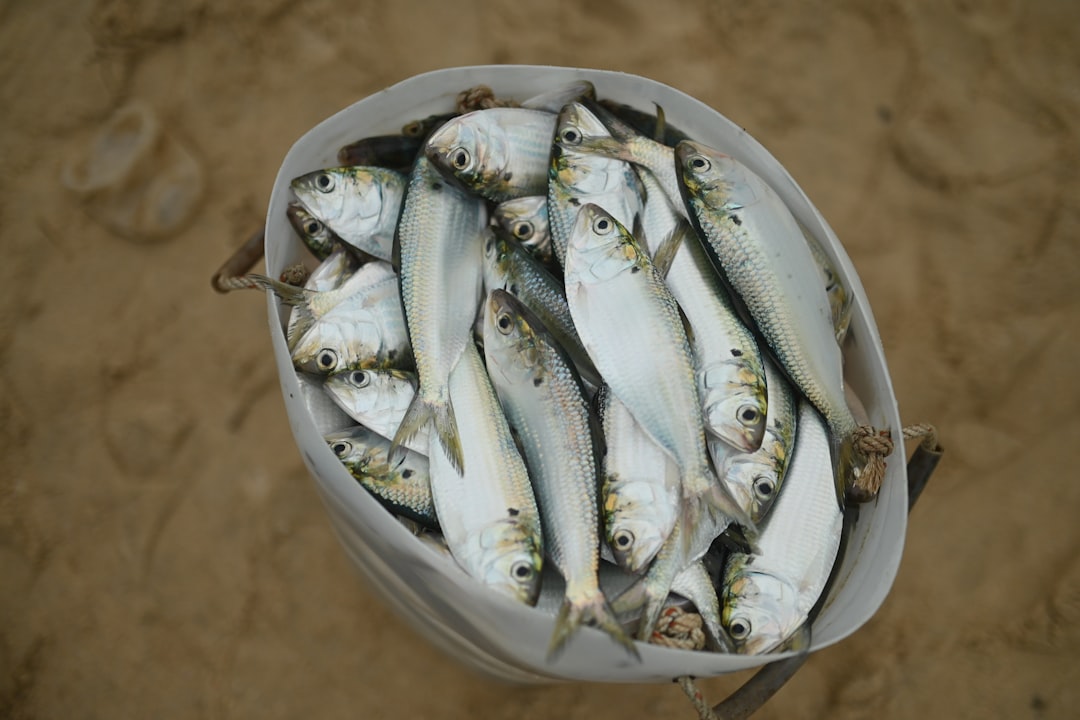 The Nutritional Truth About Your Protein Source (image credits: unsplash)