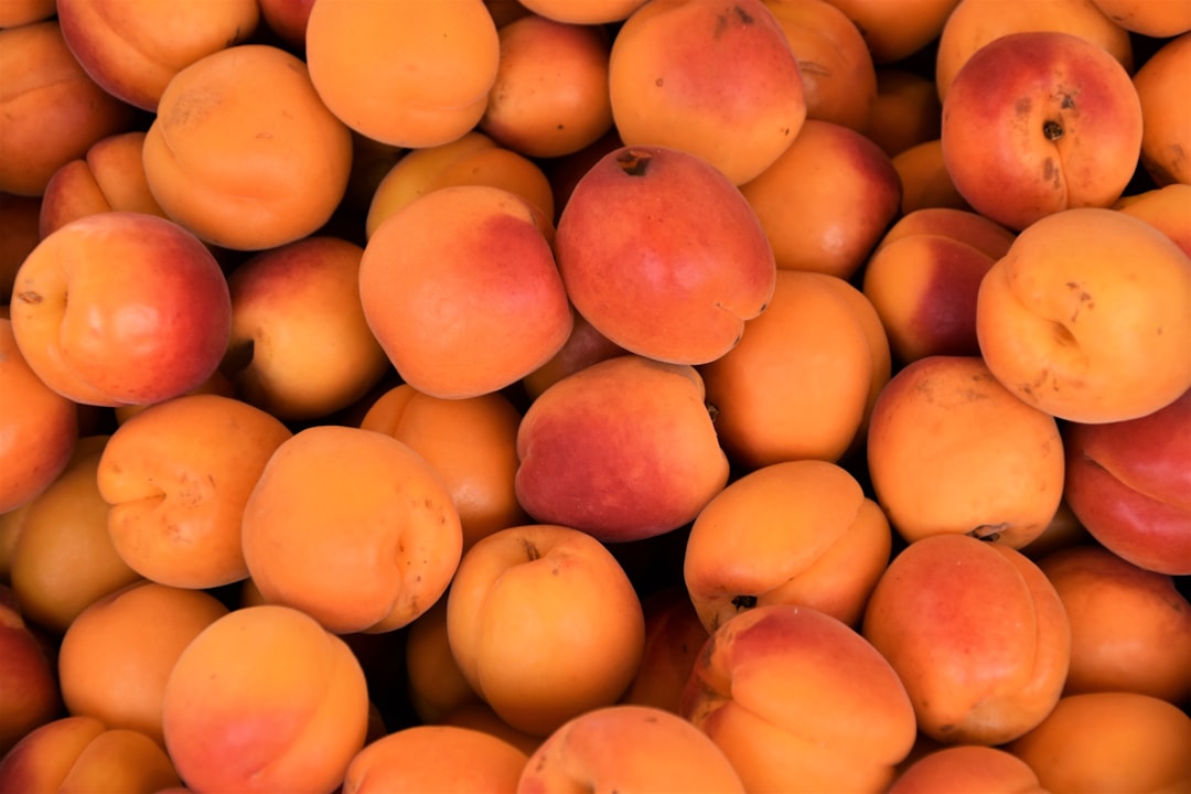 Peaches and Nectarines: The Ethylene Trap (image credits: unsplash)