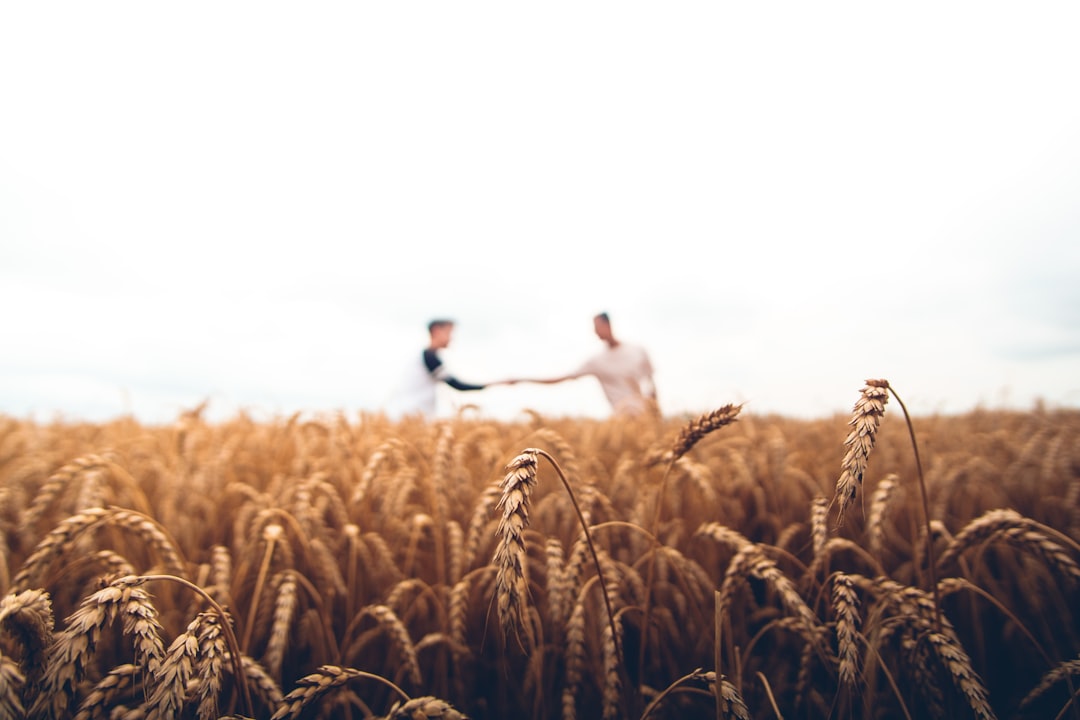 The Global Ripple: Beyond America’s Borders (image credits: unsplash)
