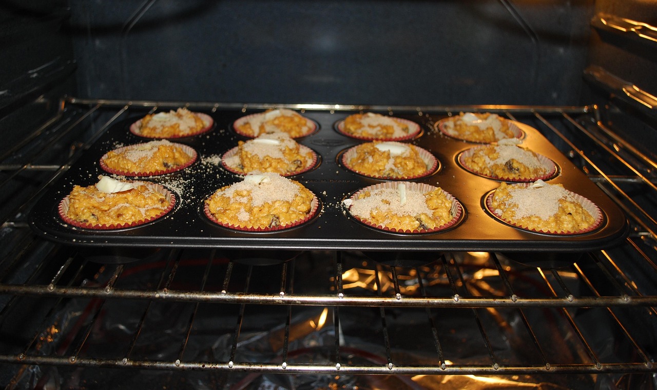 Understanding Your Oven (image credits: pixabay)