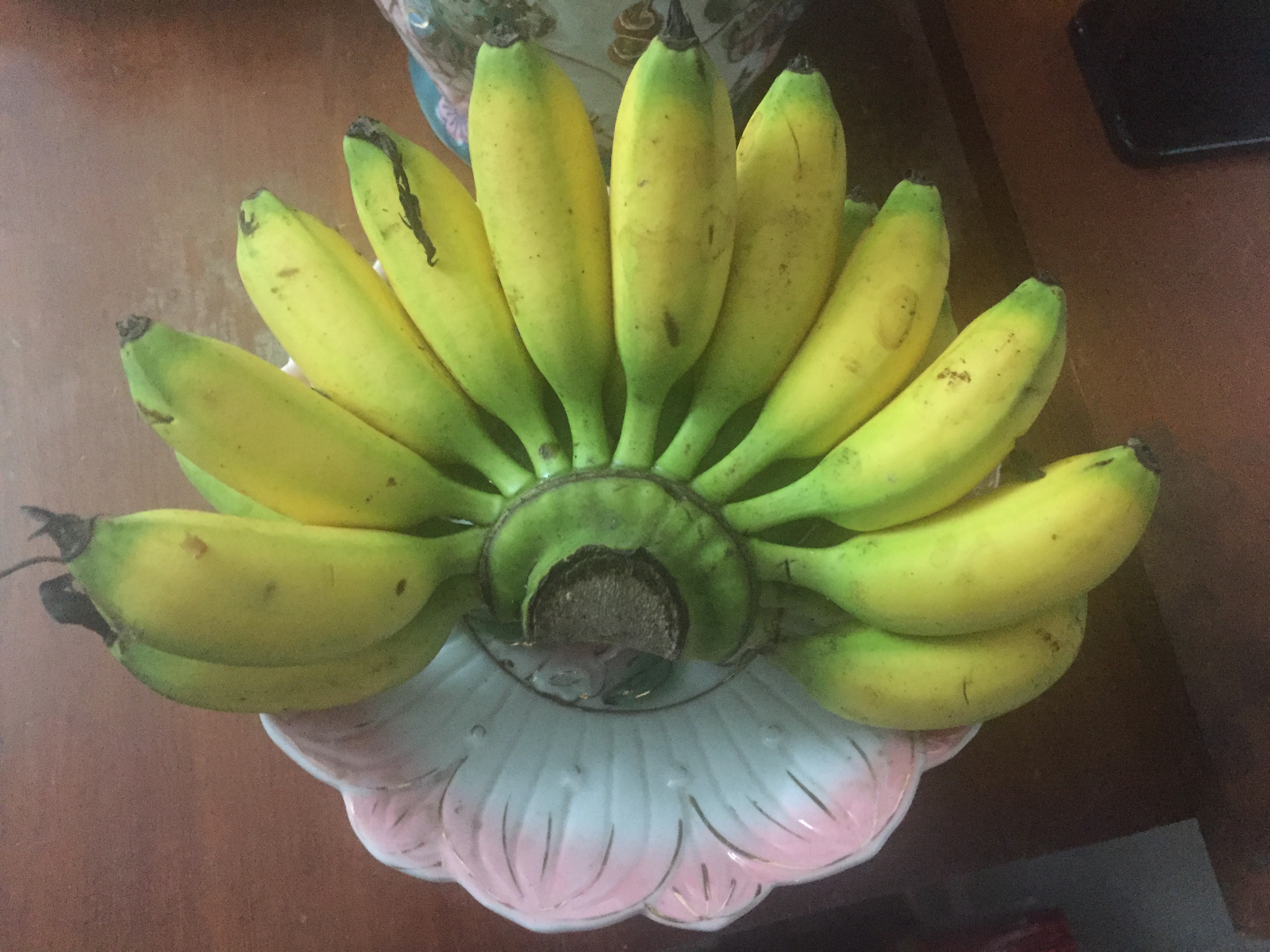 Bananas: The MVP of Fruit Ripening (image credits: wikimedia)