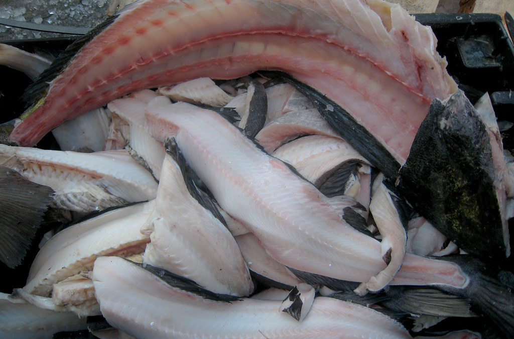 Meat and Fish Scraps That Turn Your Pile Toxic (image credits: flickr)