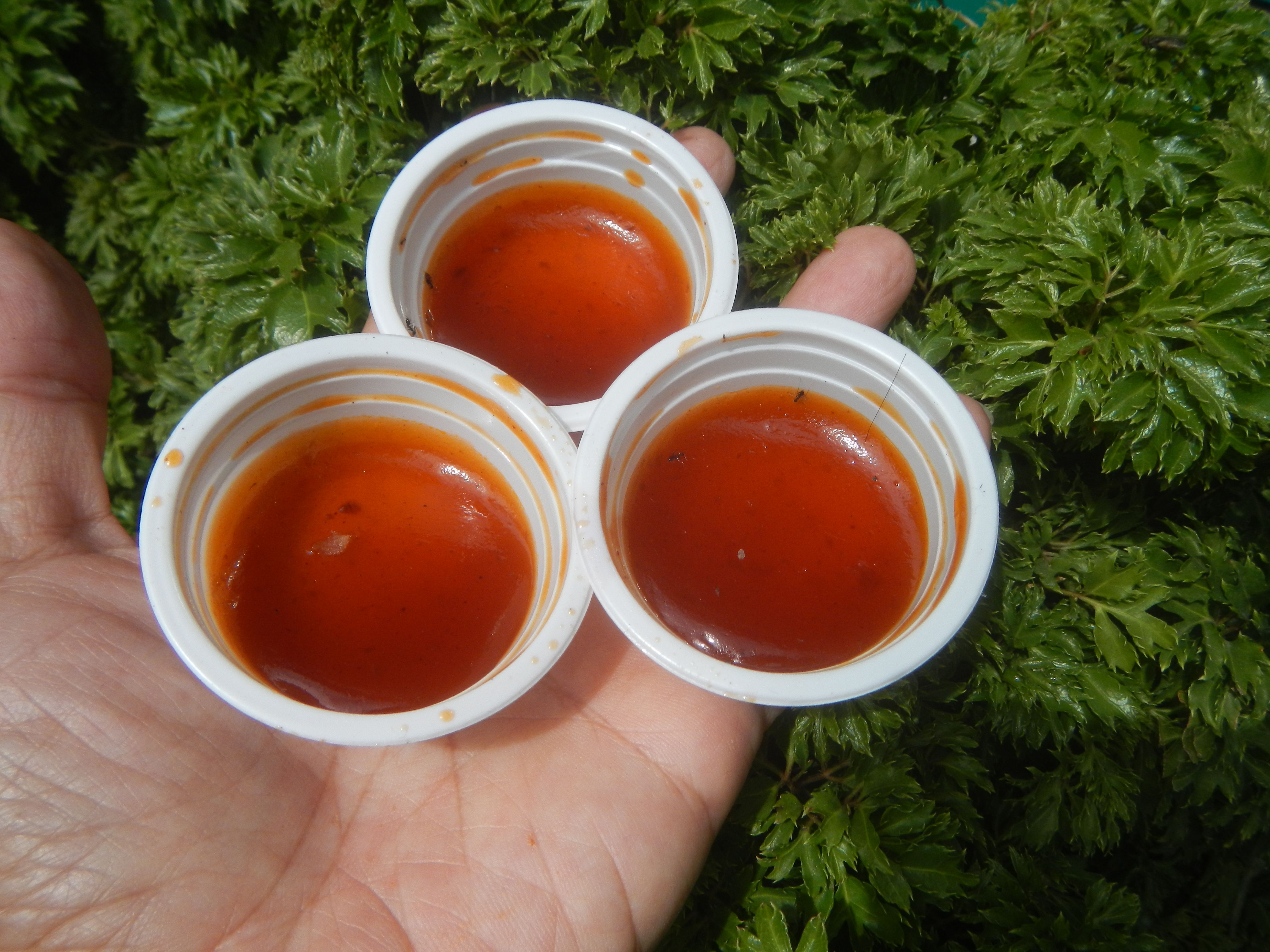 Balancing Sweetness in Sauces (image credits: wikimedia)