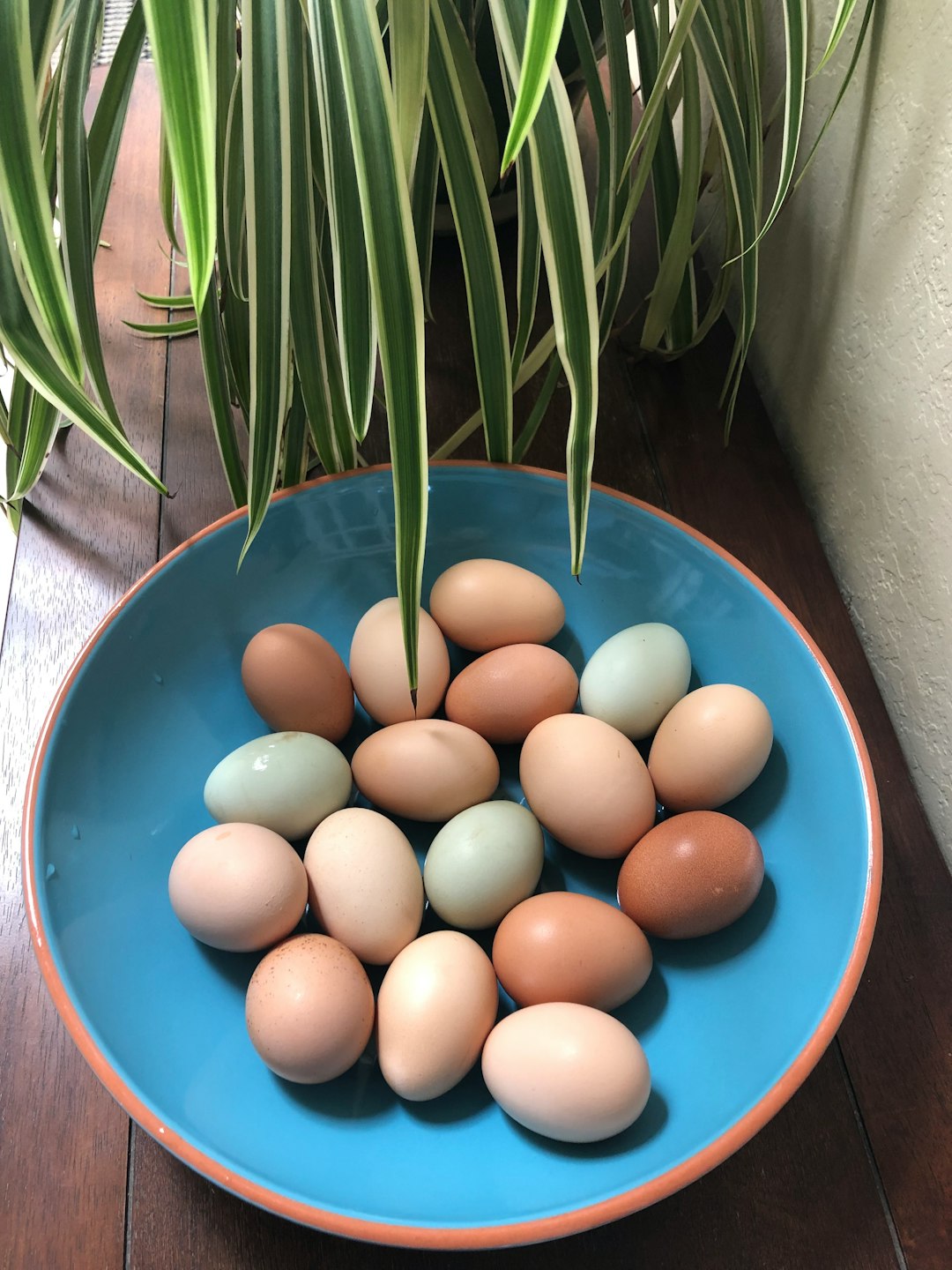 Eggs: The Protein Poisoning Trap (image credits: unsplash)
