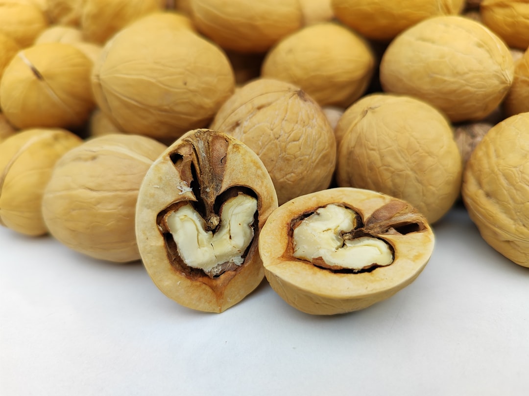 Hazelnuts: The Antioxidant Champions (image credits: unsplash)