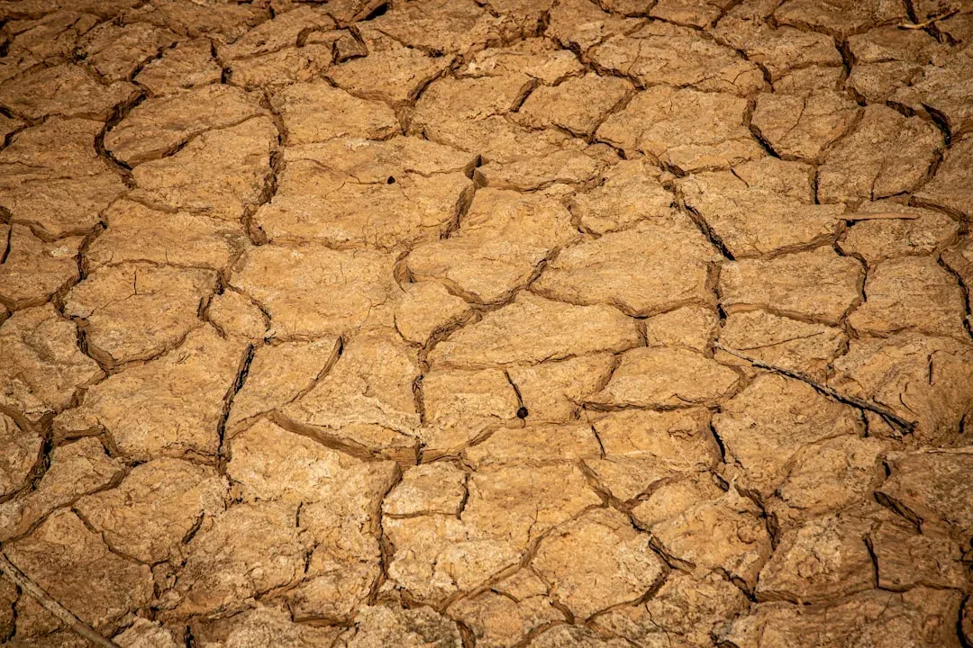 Climate Change Is Affecting Ingredient Quality (Image Credits: Unsplash)