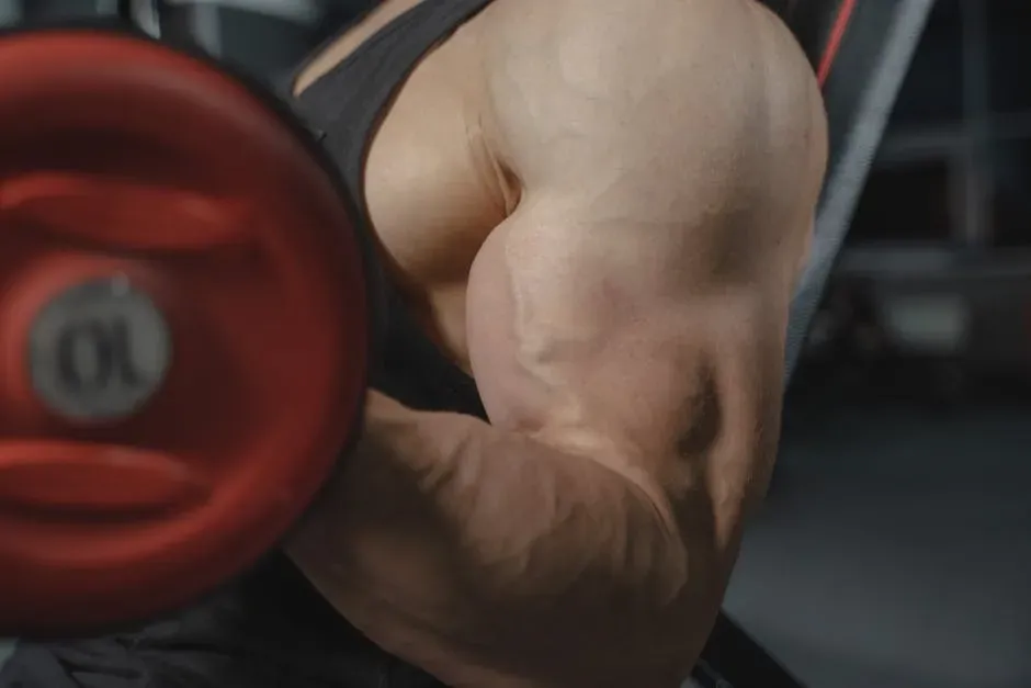 Why Magnesium and Your Muscles Are Inseparable (Image Credits: Pexels)