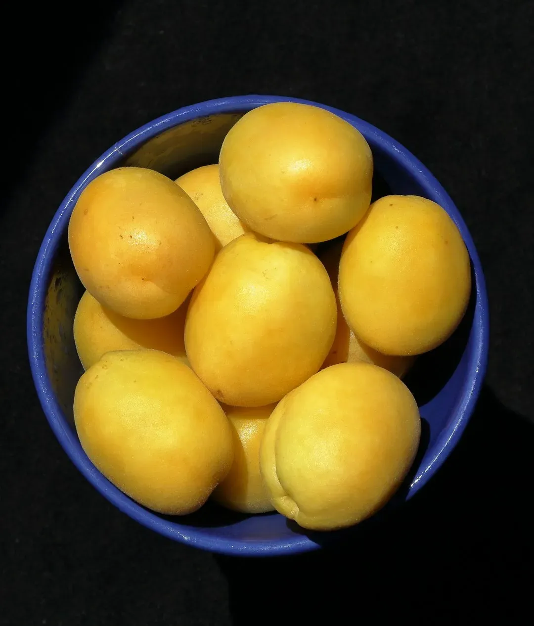 Citrus Fruits with Extended Shelf Lives (Image Credits: Unsplash)