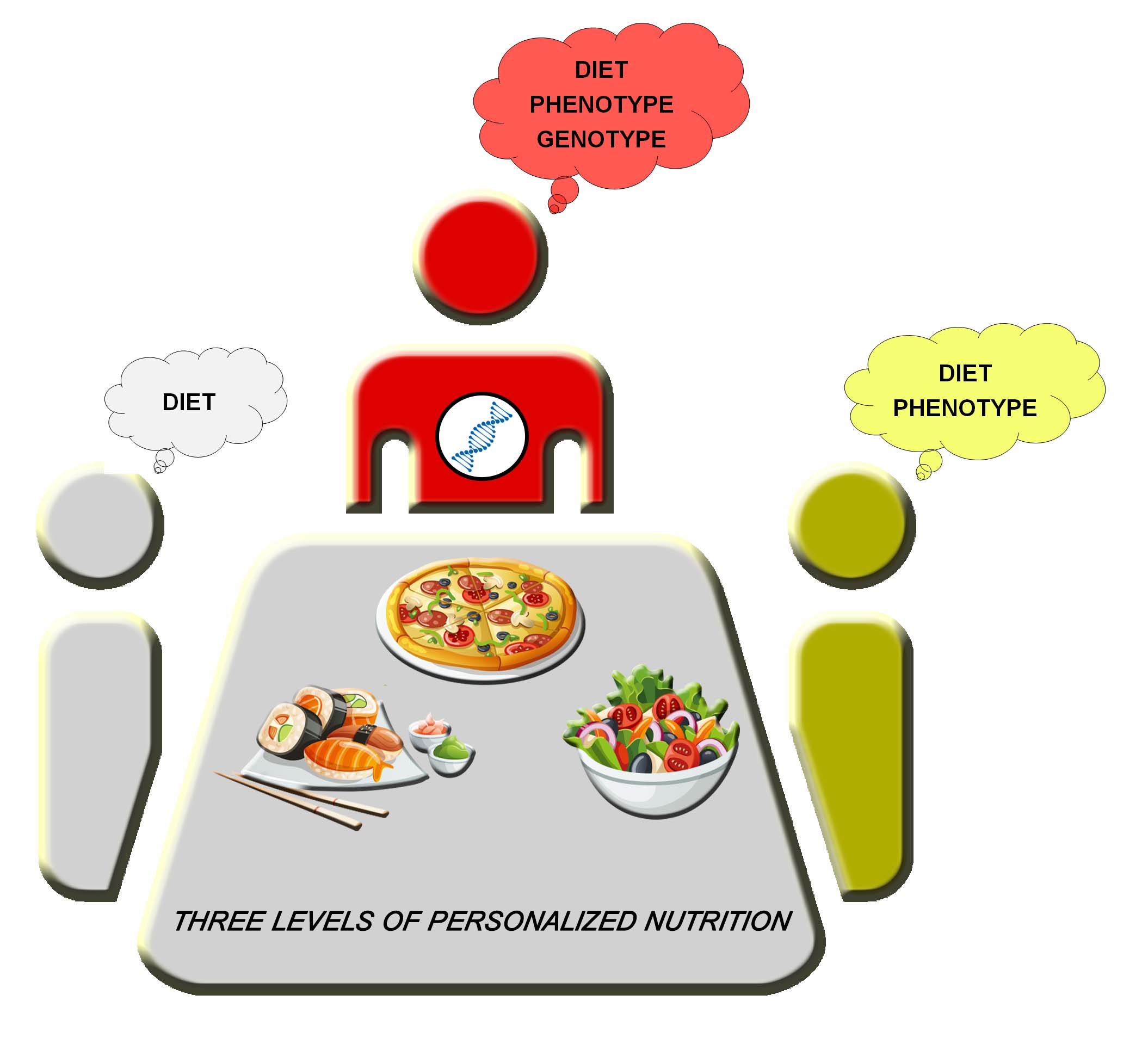 The Importance of Individualized Nutrition (image credits: wikimedia)