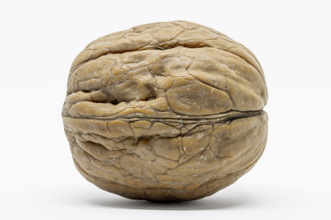 Walnuts: The Brain-Shaped Nut (image credits: unsplash)