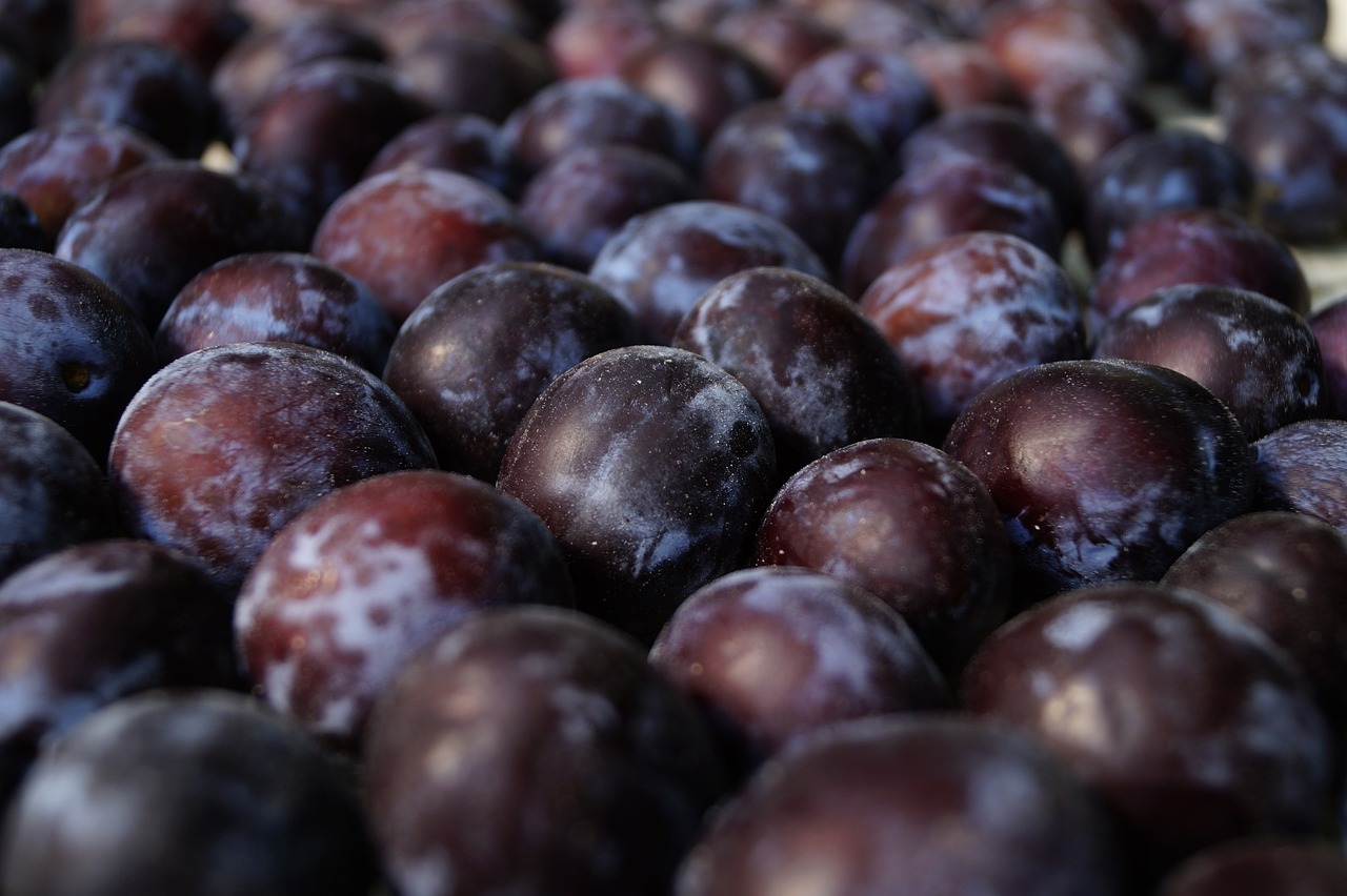 Plums: The Low-Calorie Satisfier (image credits: pixabay)