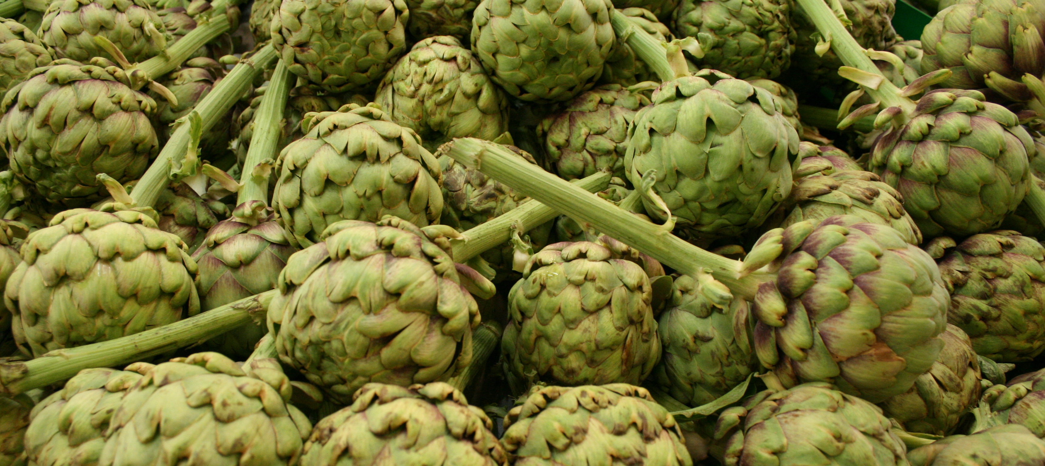 14. Artichokes: Fiber and Antioxidant Powerhouse (image credits: wikimedia)