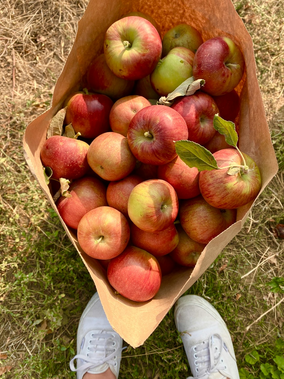 Fresh Produce Doesn't Need Nutrition Labels (image credits: unsplash)