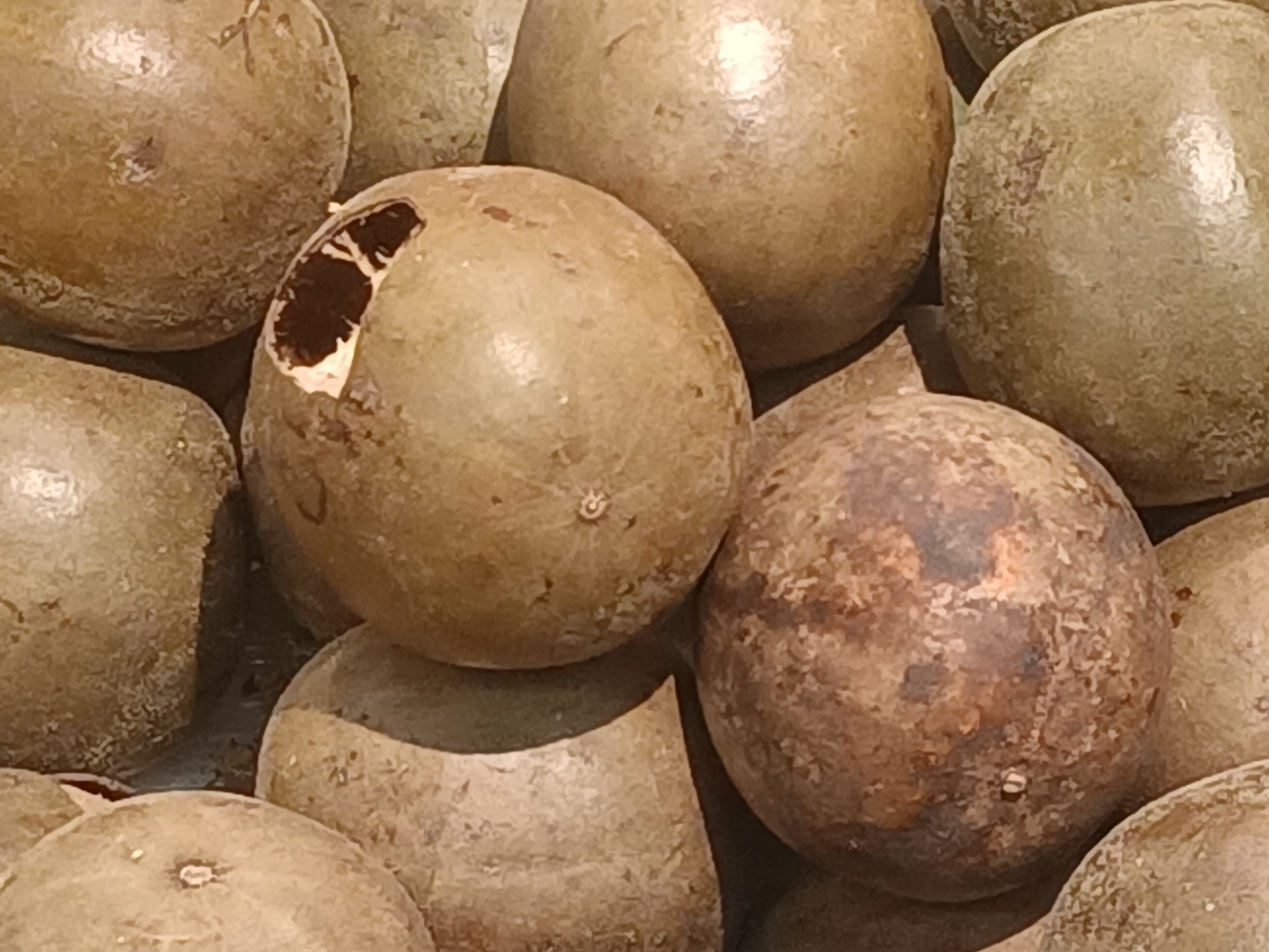 Monk Fruit: The New Kid on the Block (image credits: wikimedia)