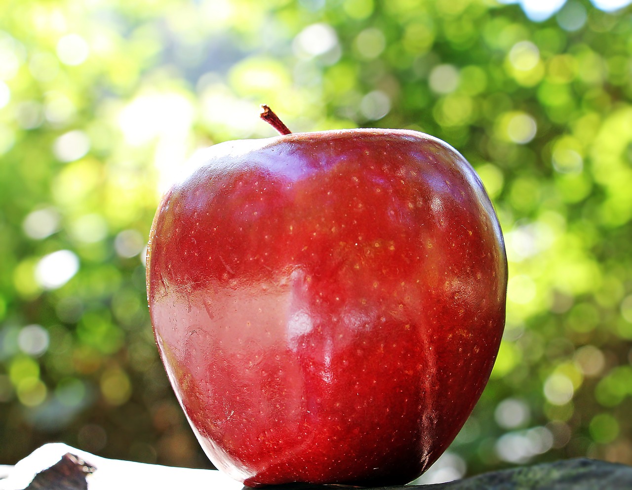 Apples: Classic Hydration with a Crunch (image credits: pixabay)