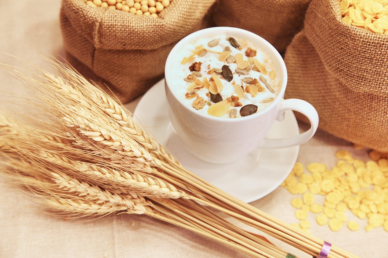 Stabilizing Food: Oats (image credits: pixabay)