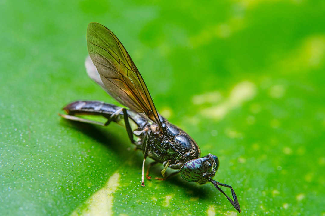 Massive Market Projections Attract Capital (Image Credits: Unsplash)