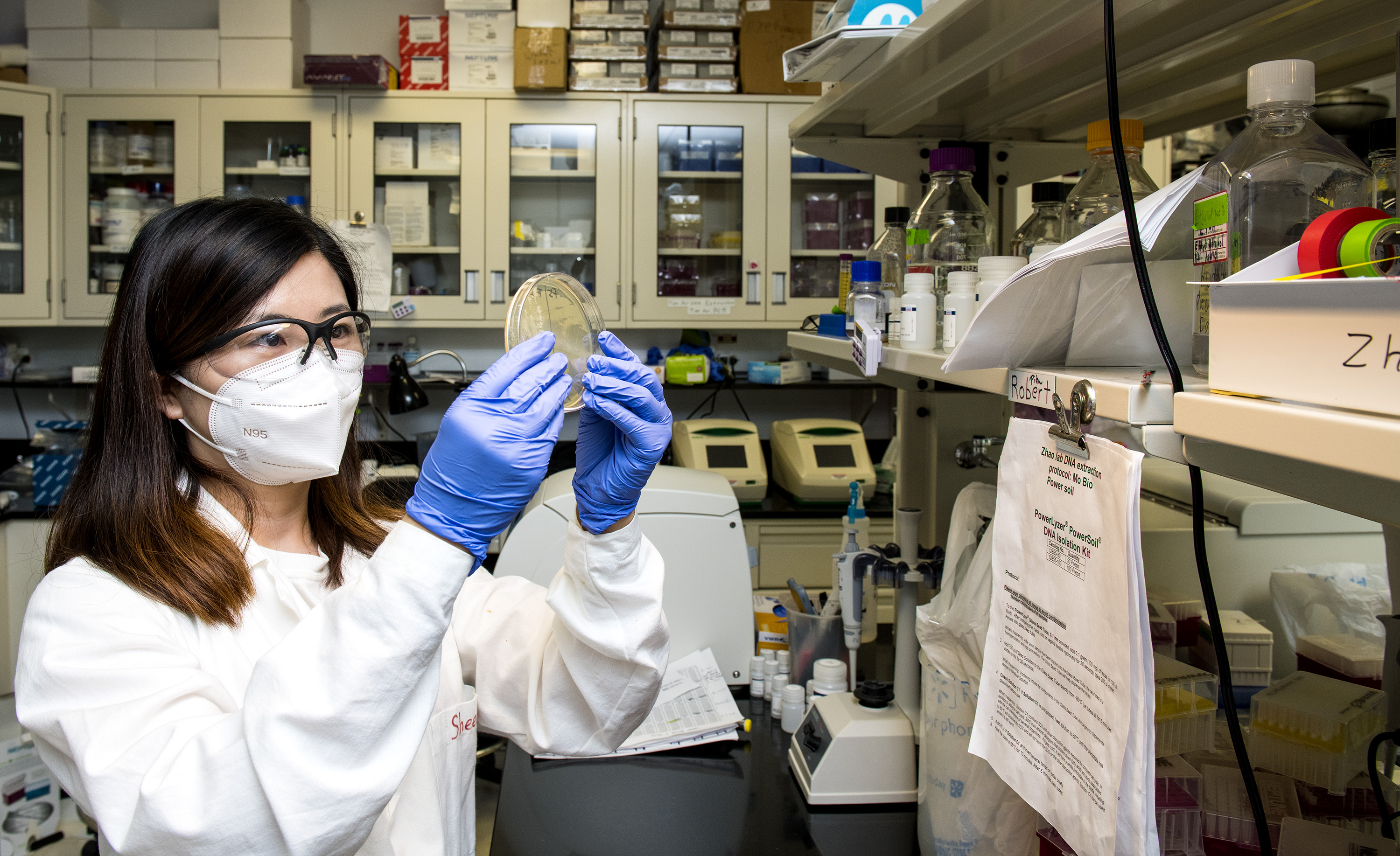 Future Directions in Gut Health Research (image credits: wikimedia)