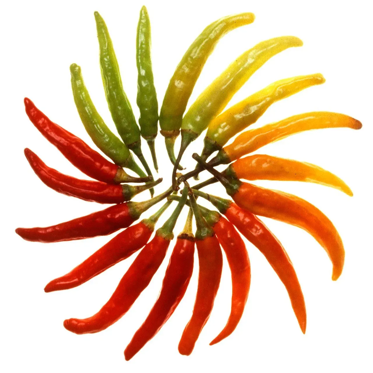Capsaicin's Broader Health Implications (Image Credits: Pixabay)
