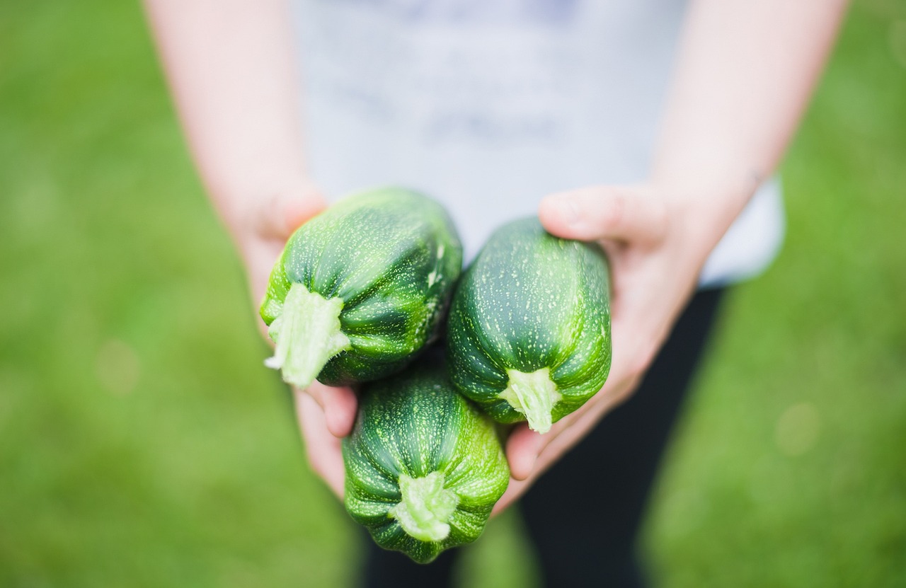 Zucchini (image credits: pixabay)