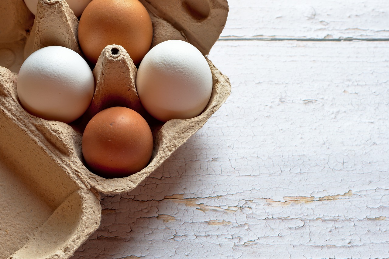 BPA in Food Packaging: What the Latest Studies Reveal (image credits: pixabay)