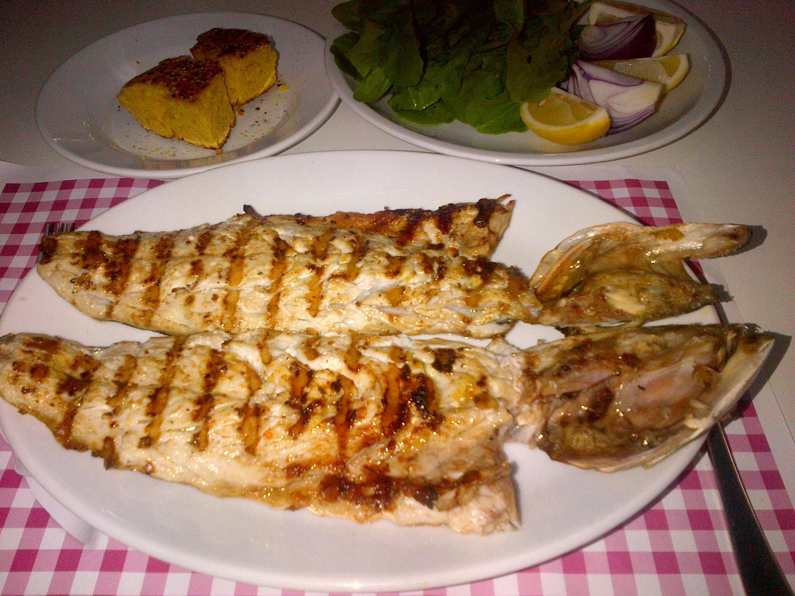 Bluefish: A Flavorful Option (image credits: wikimedia)