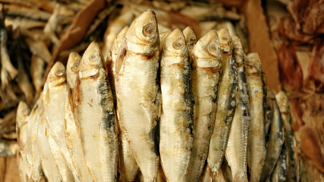 Fatty Fish: Omega-3 Powerhouses for Your Brain (image credits: unsplash)