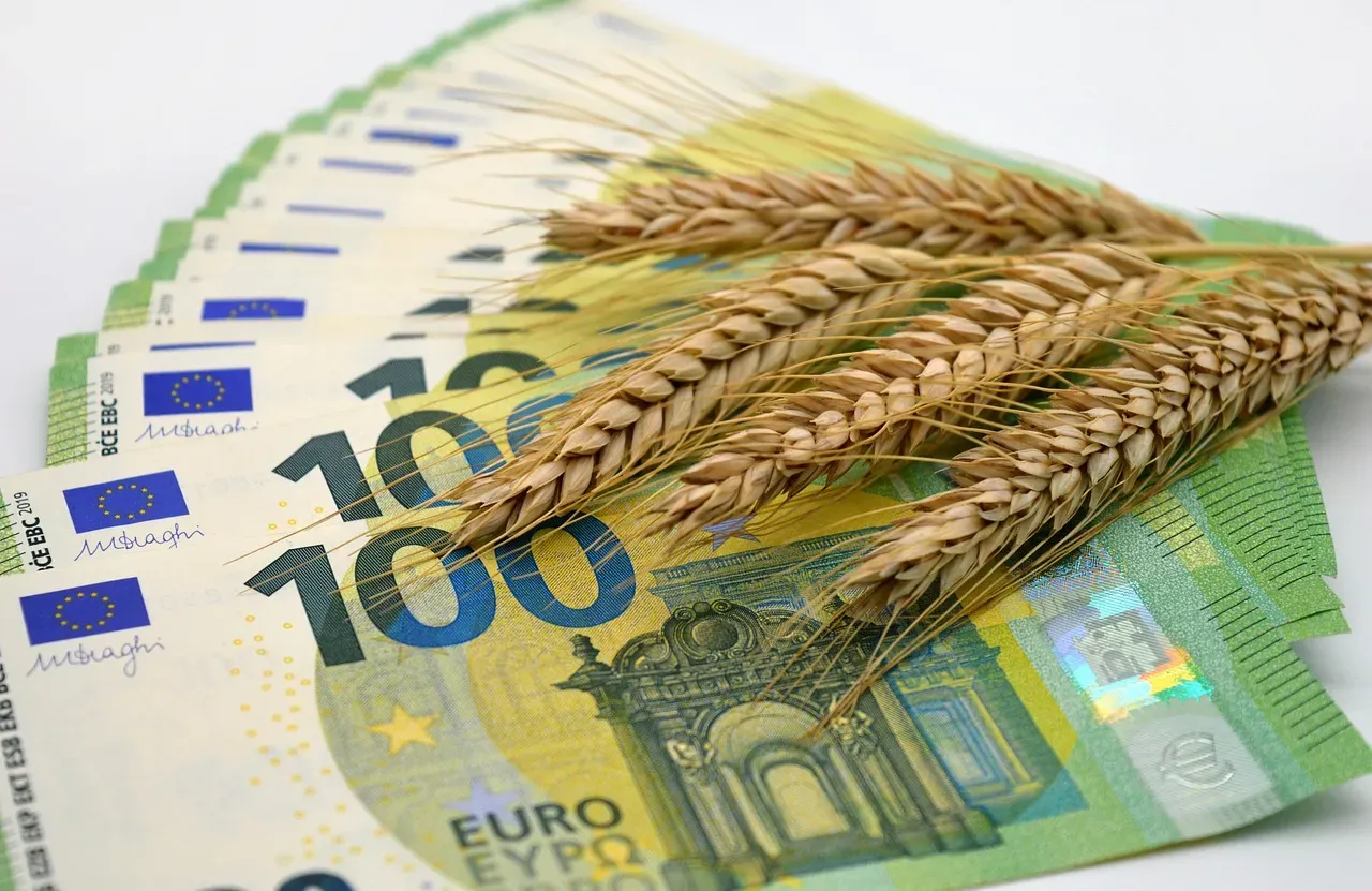 Inflation and Rising Food Costs Hit Hard (Image Credits: Pixabay)