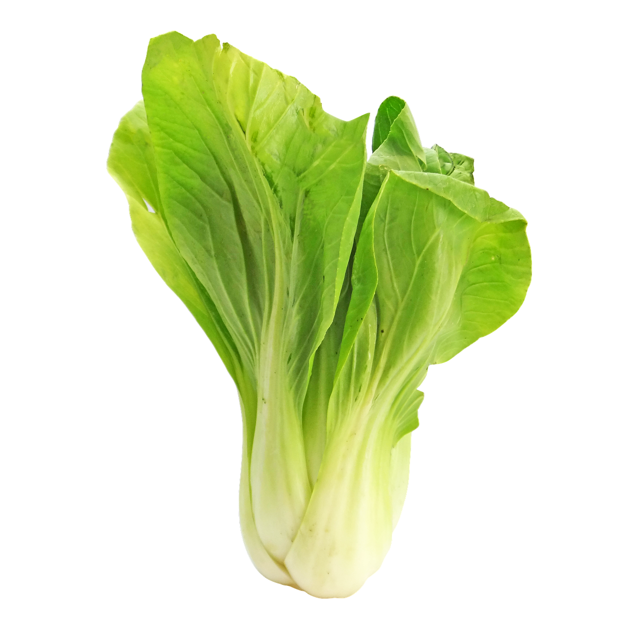 Bok Choy: The Asian Supergreen (image credits: pixabay)