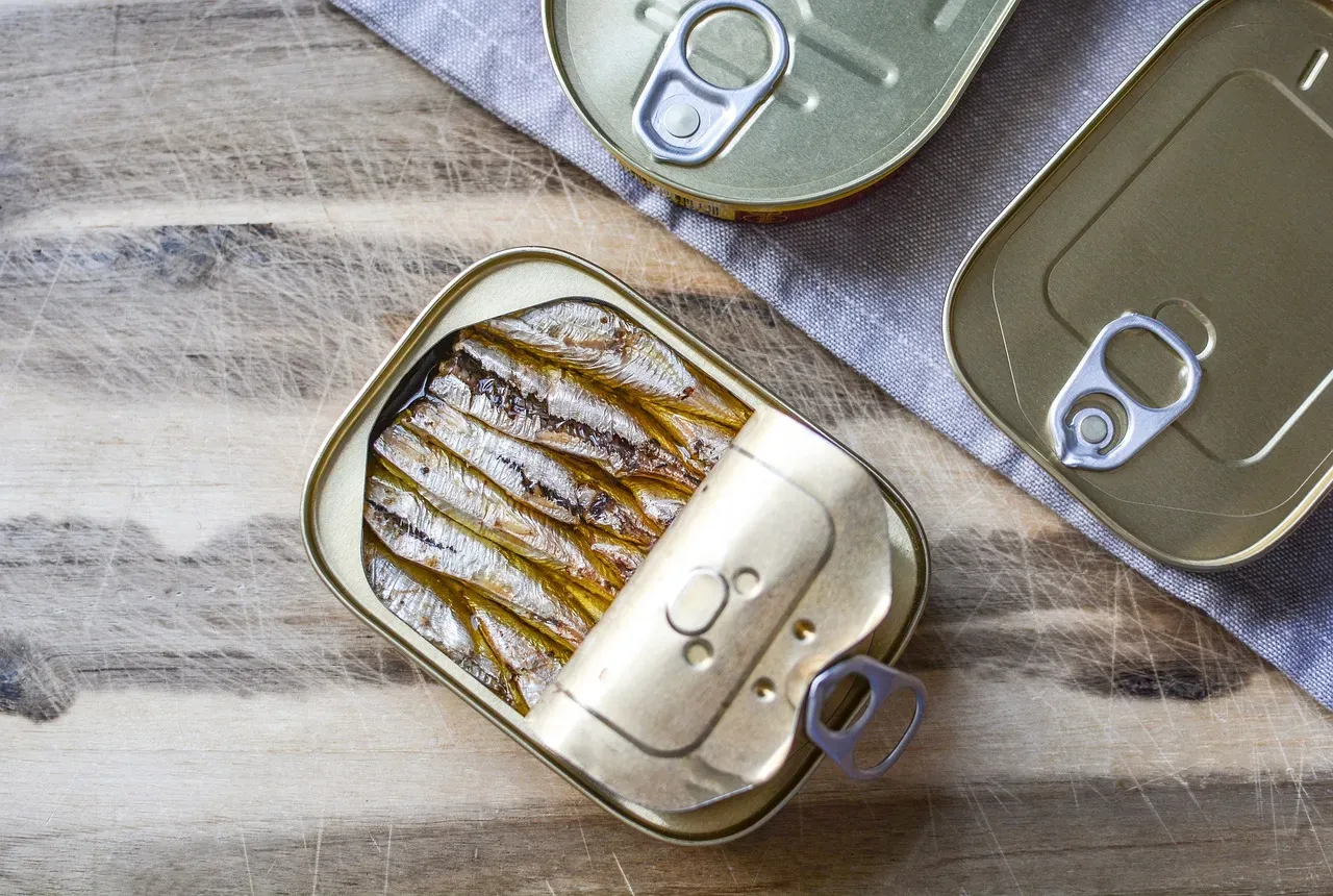 Canned Fish and Tinned Meat (Image Credits: Pixabay)