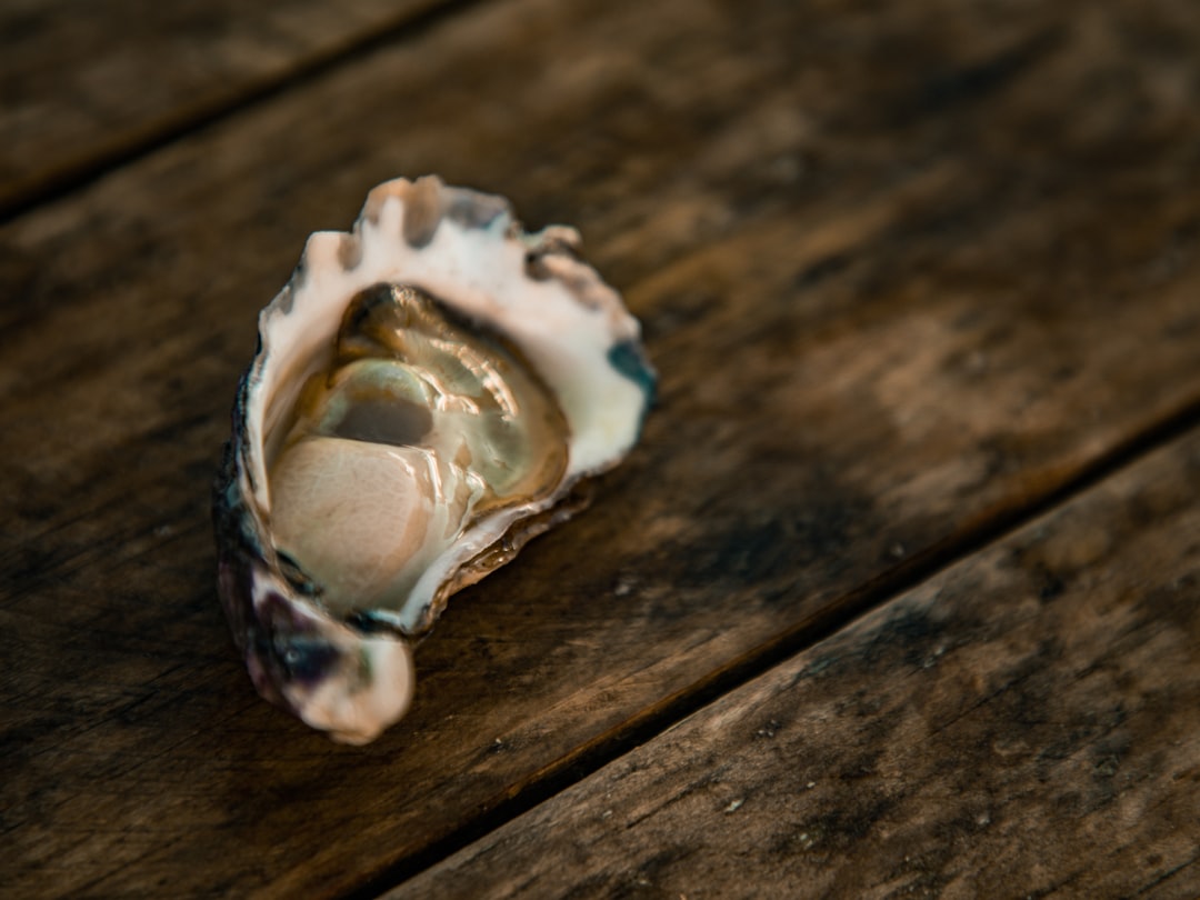 Oysters Blur the Line Between Fish and Superfood (image credits: unsplash)