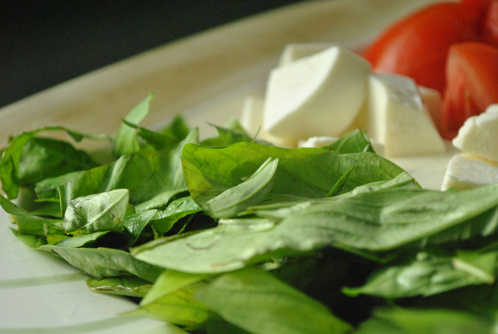 Basil: The Antioxidant Powerhouse (Image Credits: Flickr)