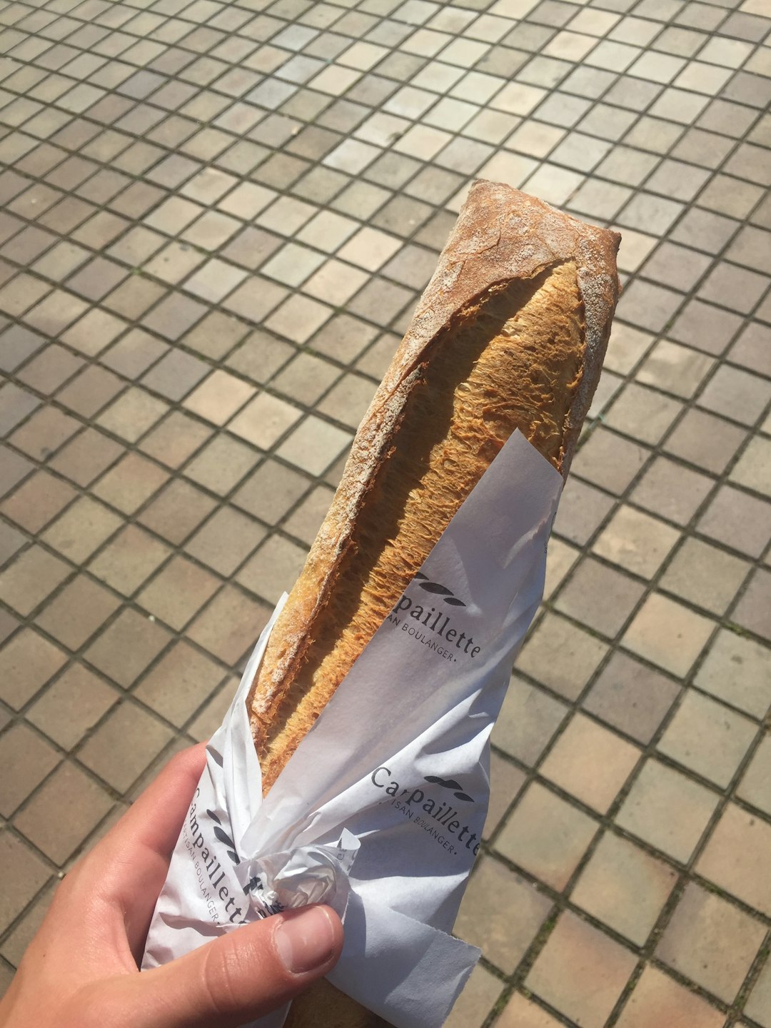 The Paper Towel Absorption Method (image credits: unsplash)