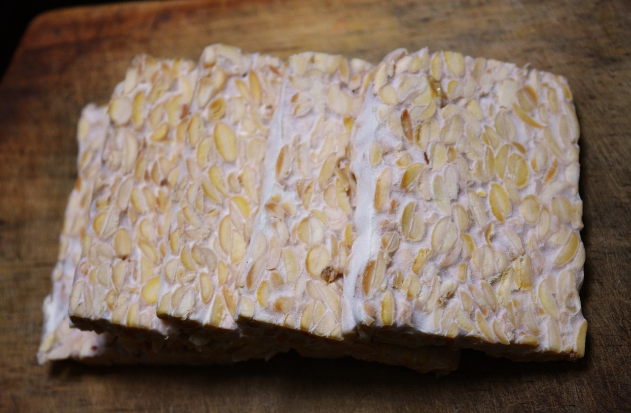 Tempeh: The Fermented Faker (image credits: pixabay)