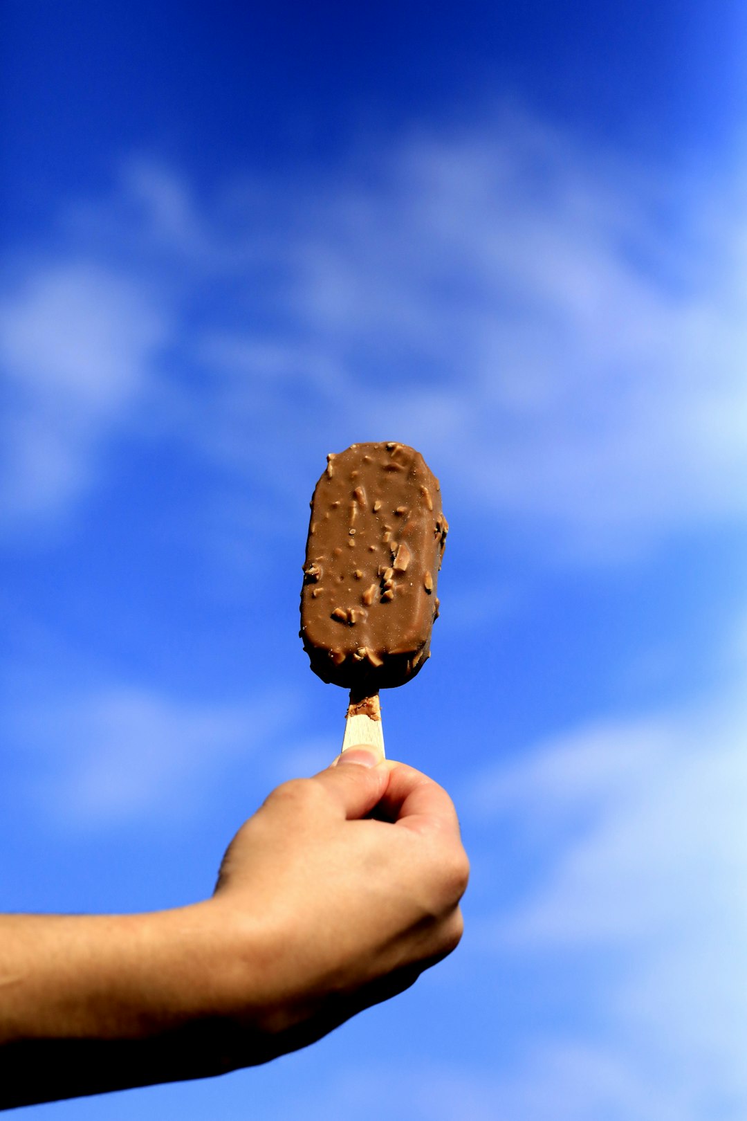 Beatle Nut - When Beatlemania Hit the Freezer (image credits: unsplash)