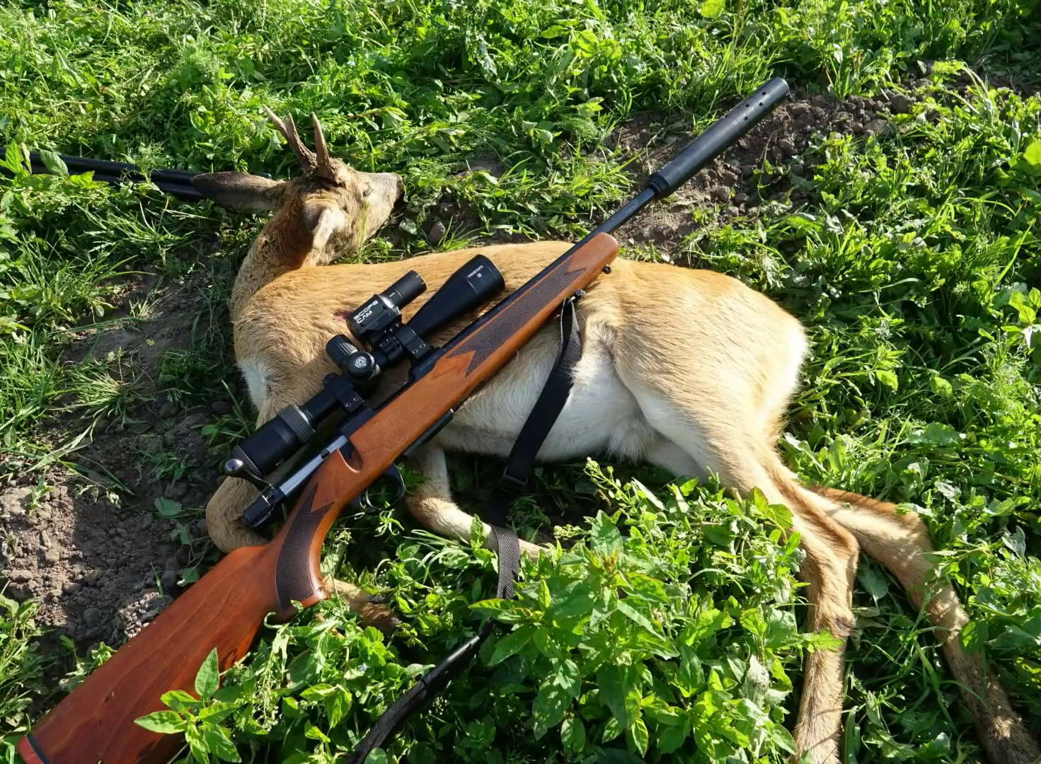 Game Meats: Nutrient-Dense Options (image credits: wikimedia)