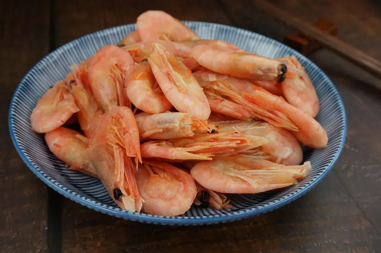 11. Plain Cooked Shrimp (Image Credits: Pixabay)