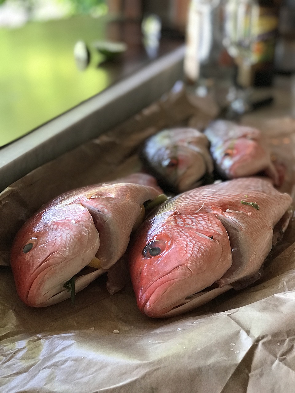 Snapper: A Nutrient-Rich Delight (image credits: pixabay)