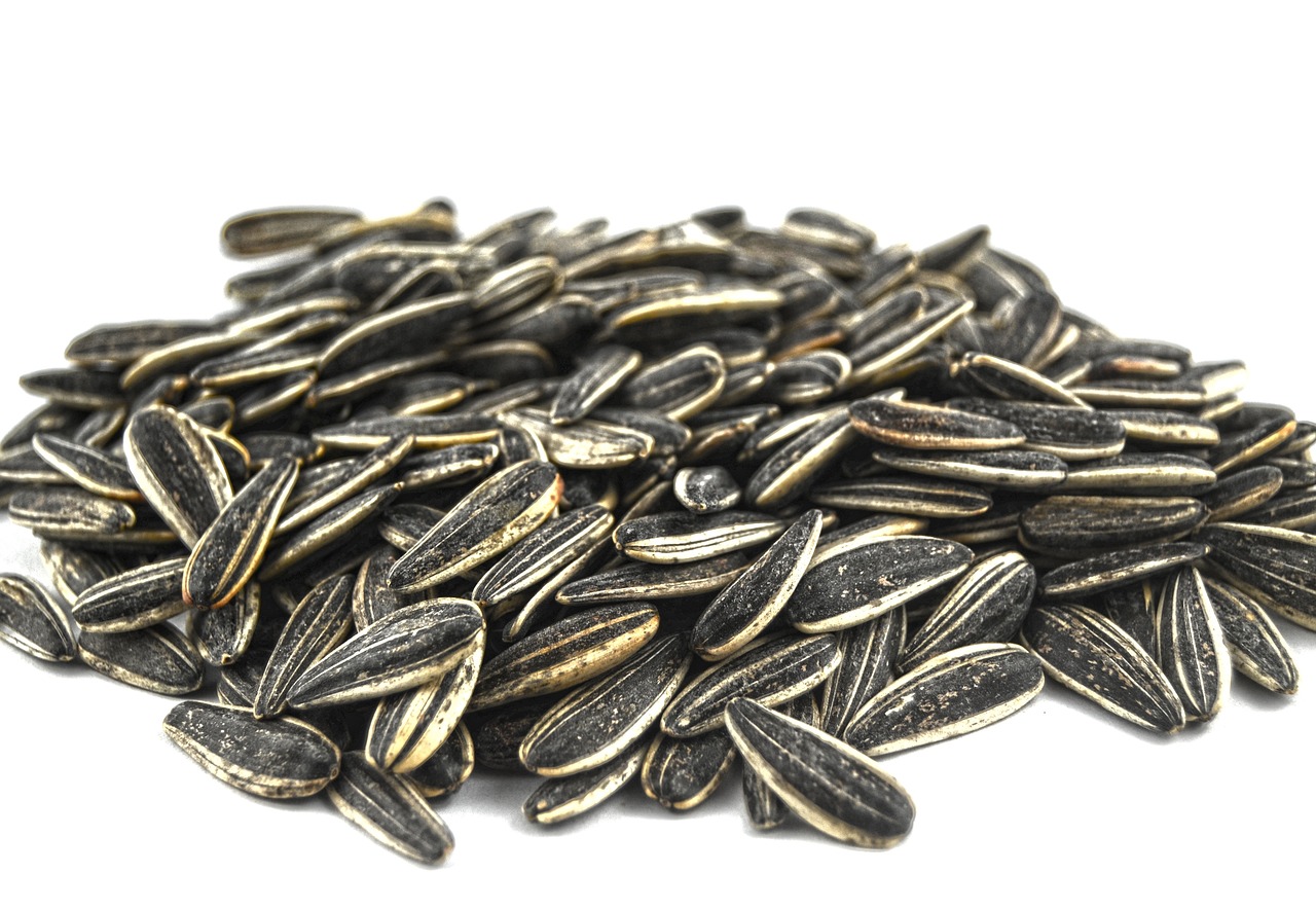 Almonds and Sunflower Seeds Protect Against Age-Related Damage (image credits: pixabay)