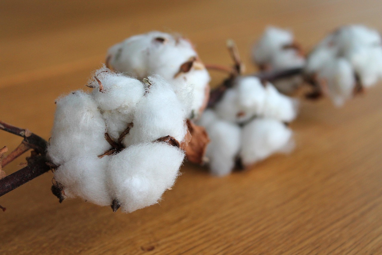 Cotton Balls as Fake Food - The Model's Secret (image credits: pixabay)