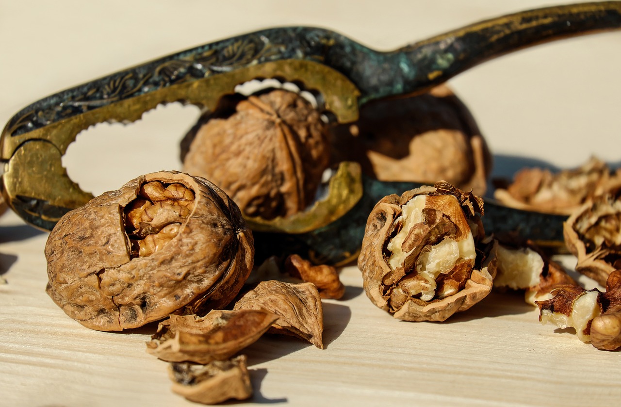 Walnuts: Brain-Shaped and Brain-Saving (image credits: pixabay)